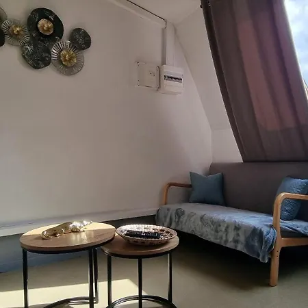Nina Parking Renove Proche Cite Congres Cocon Cosy 26m2 Διαμέρισμα Anzin