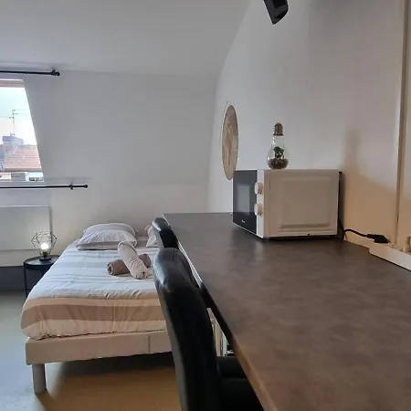 Nina Parking Renove Proche Cite Congres Cocon Cosy 26m2 Διαμέρισμα *