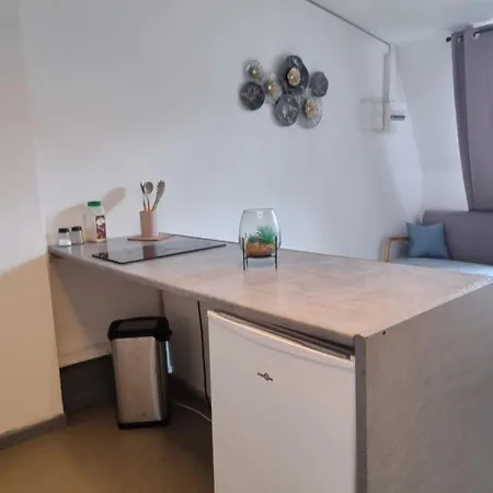 Appartement T1 Renove 26m2 Cosy Confort ! *