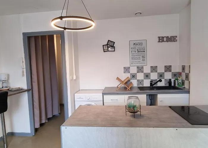 T1 rénové 26m2 cosy confort ! * Anzin