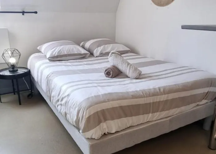 Appartement T1 rénové 26m2 cosy confort !