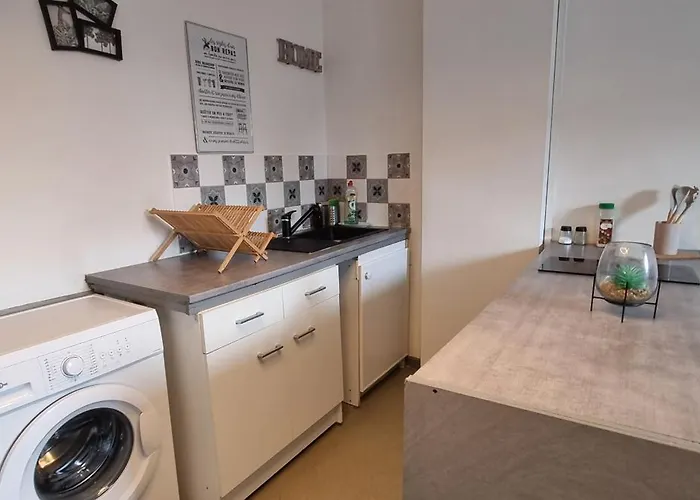 T1 rénové 26m2 cosy confort ! Appartement