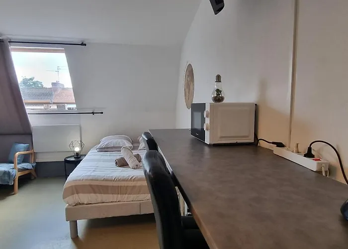 T1 rénové 26m2 cosy confort ! Appartement *