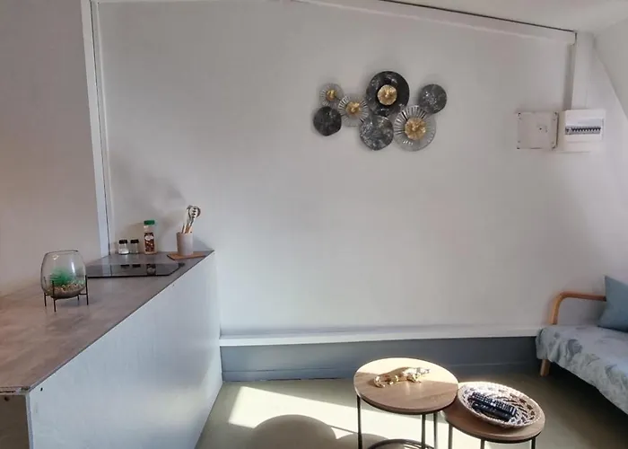 T1 rénové 26m2 cosy confort ! Anzin