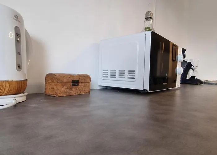 T1 rénové 26m2 cosy confort !