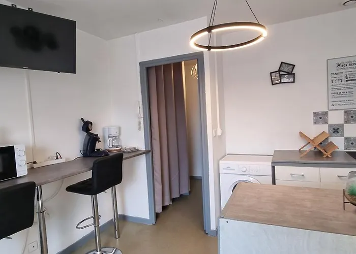 T1 rénové 26m2 cosy confort !