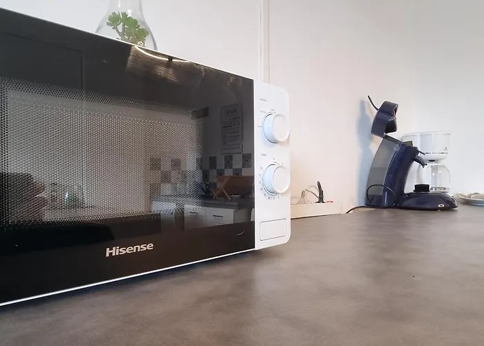 T1 rénové 26m2 cosy confort ! Appartement *