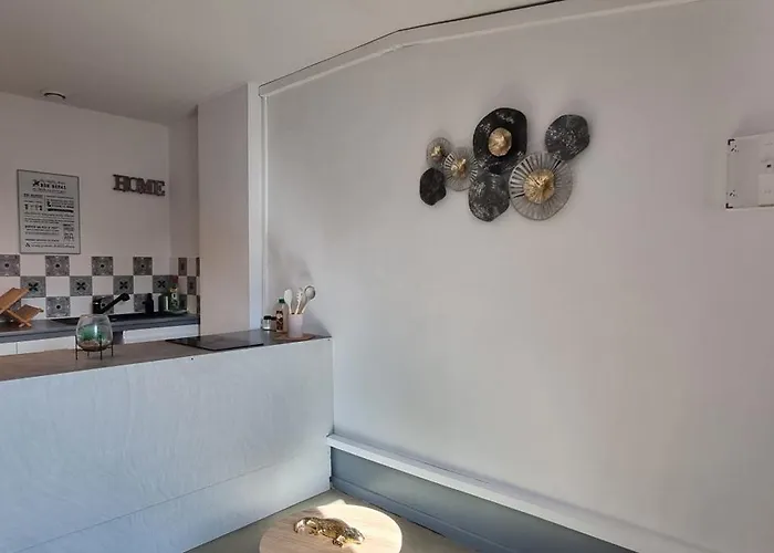 Appartement T1 rénové 26m2 cosy confort !