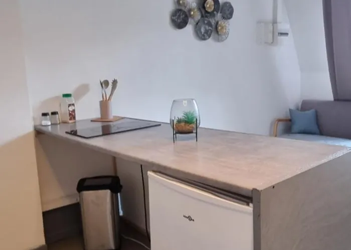 Appartement T1 rénové 26m2 cosy confort ! *